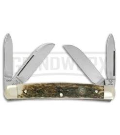 Hen & Rooster Congress Brown Stag Pocket Knife